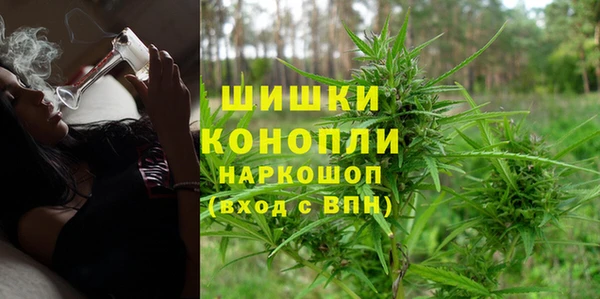 стафф Пенза