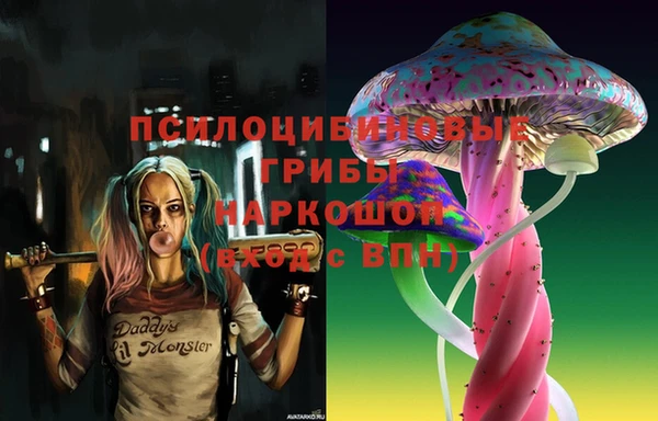 стафф Пенза
