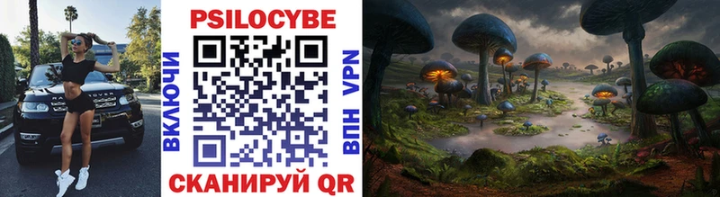 Галлюциногенные грибы Psilocybe  мега ССЫЛКА  Грайворон 